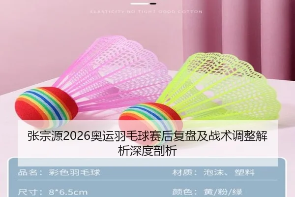 张宗源2026奥运羽毛球赛后复盘及战术调整解析深度剖析